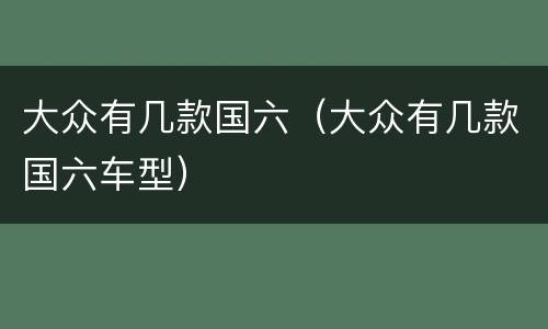 大众有几款国六（大众有几款国六车型）