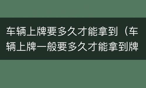 车辆上牌要多久才能拿到（车辆上牌一般要多久才能拿到牌照）