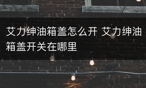 艾力绅油箱盖怎么开 艾力绅油箱盖开关在哪里