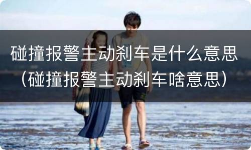 碰撞报警主动刹车是什么意思（碰撞报警主动刹车啥意思）