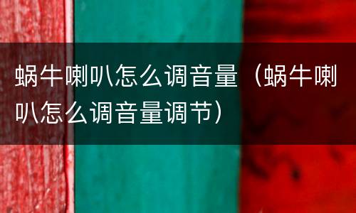 蜗牛喇叭怎么调音量（蜗牛喇叭怎么调音量调节）