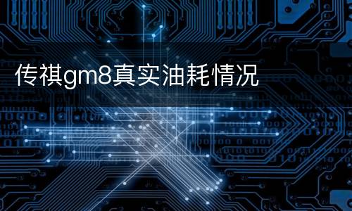 传祺gm8真实油耗情况