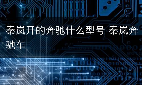 秦岚开的奔驰什么型号 秦岚奔驰车