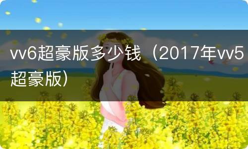 vv6超豪版多少钱（2017年vv5超豪版）