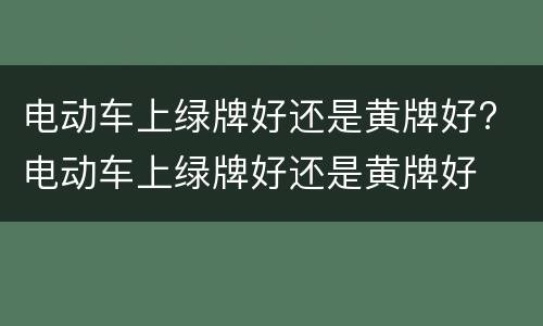 电动车上绿牌好还是黄牌好? 电动车上绿牌好还是黄牌好