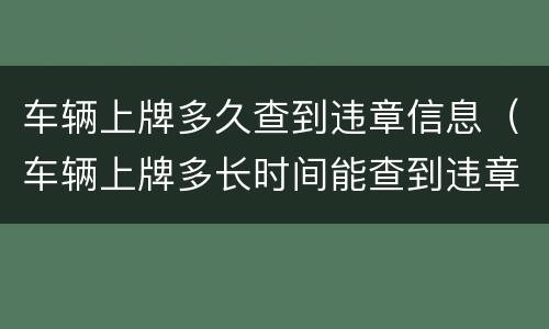 车辆上牌多久查到违章信息（车辆上牌多长时间能查到违章信息）
