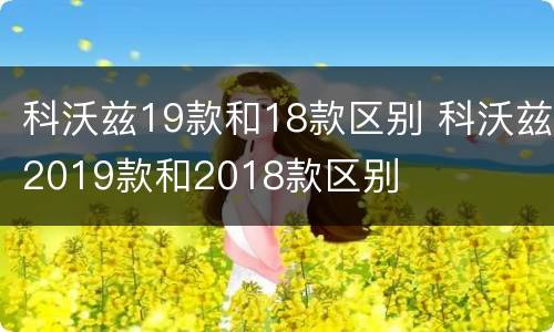 科沃兹19款和18款区别 科沃兹2019款和2018款区别