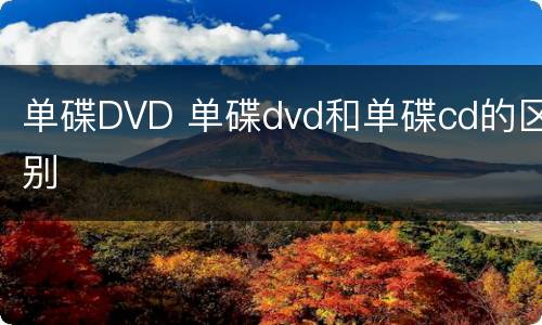 单碟DVD 单碟dvd和单碟cd的区别