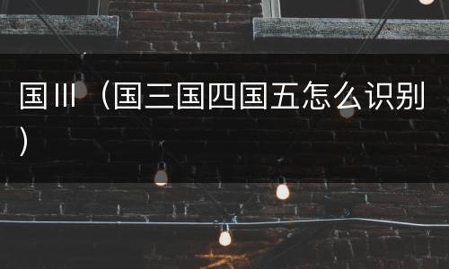 国Ⅲ（国三国四国五怎么识别）
