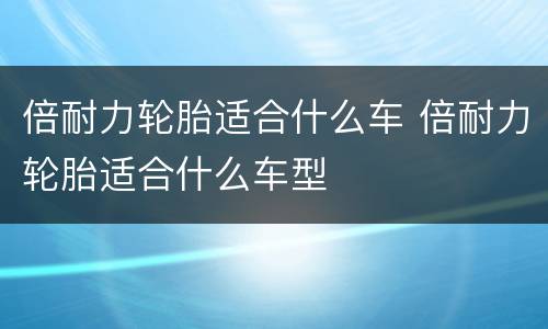 倍耐力轮胎适合什么车 倍耐力轮胎适合什么车型
