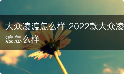大众凌渡怎么样 2022款大众凌渡怎么样