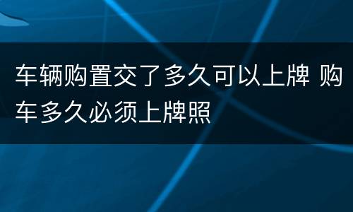 车辆购置交了多久可以上牌 购车多久必须上牌照