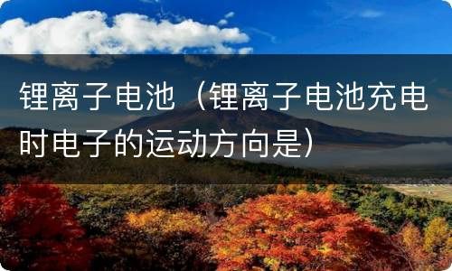 锂离子电池（锂离子电池充电时电子的运动方向是）