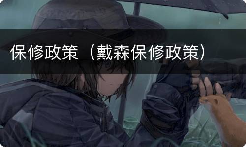保修政策（戴森保修政策）