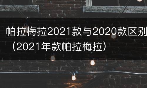 帕拉梅拉2021款与2020款区别（2021年款帕拉梅拉）