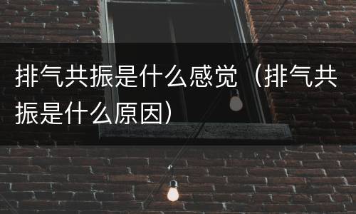排气共振是什么感觉（排气共振是什么原因）