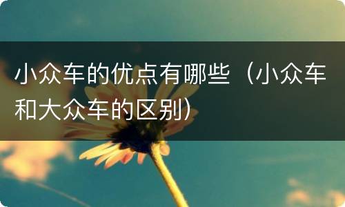 小众车的优点有哪些（小众车和大众车的区别）