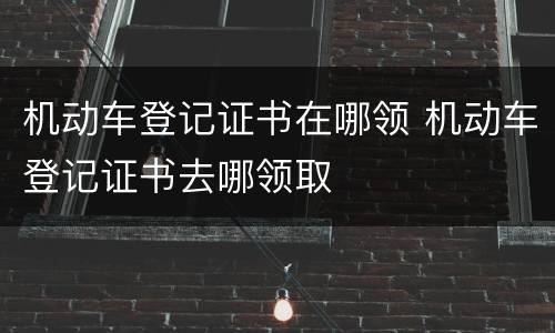 机动车登记证书在哪领 机动车登记证书去哪领取