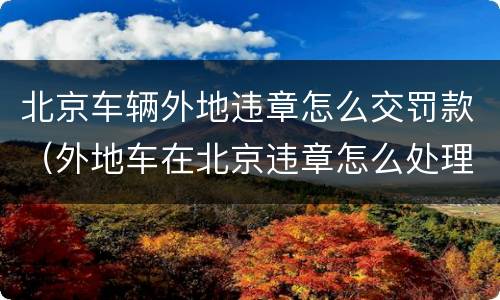 北京车辆外地违章怎么交罚款（外地车在北京违章怎么处理）