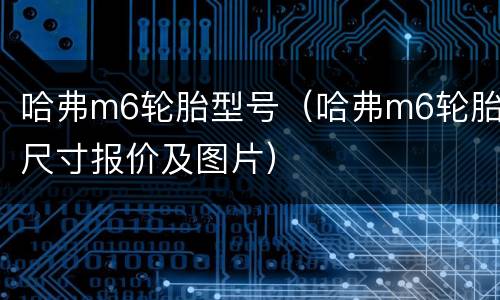 哈弗m6轮胎型号（哈弗m6轮胎尺寸报价及图片）