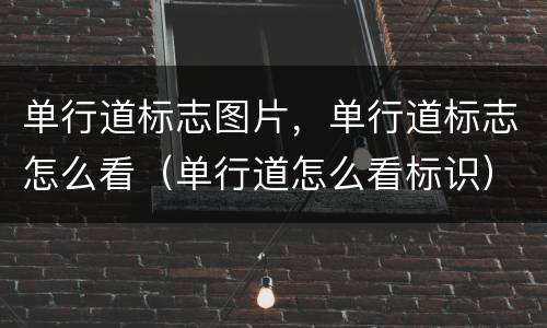 单行道标志图片，单行道标志怎么看（单行道怎么看标识）