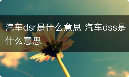 汽车dsr是什么意思 汽车dss是什么意思