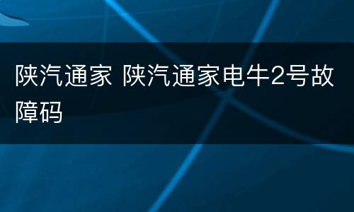 陕汽通家 陕汽通家电牛2号故障码