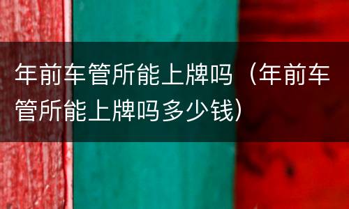 年前车管所能上牌吗（年前车管所能上牌吗多少钱）