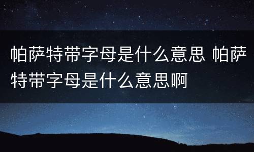 帕萨特带字母是什么意思 帕萨特带字母是什么意思啊