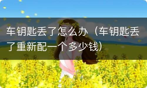 车钥匙丢了怎么办（车钥匙丢了重新配一个多少钱）