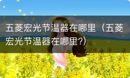 五菱宏光节温器在哪里（五菱宏光节温器在哪里?）