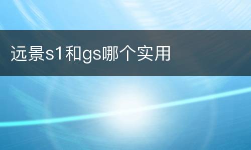 远景s1和gs哪个实用