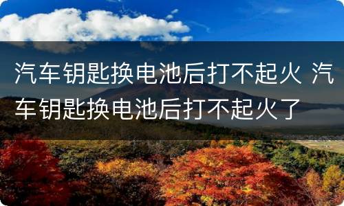 汽车钥匙换电池后打不起火 汽车钥匙换电池后打不起火了