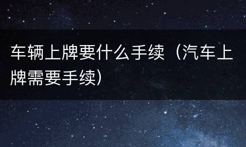 车辆上牌要什么手续（汽车上牌需要手续）