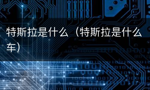 特斯拉是什么（特斯拉是什么车）