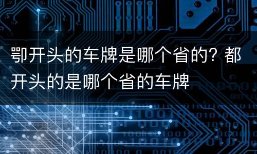 卾开头的车牌是哪个省的? 都开头的是哪个省的车牌