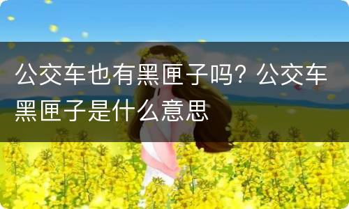 公交车也有黑匣子吗? 公交车黑匣子是什么意思