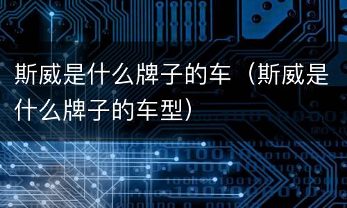 斯威是什么牌子的车（斯威是什么牌子的车型）