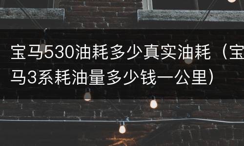 宝马530油耗多少真实油耗（宝马3系耗油量多少钱一公里）
