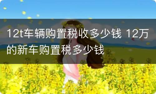12t车辆购置税收多少钱 12万的新车购置税多少钱