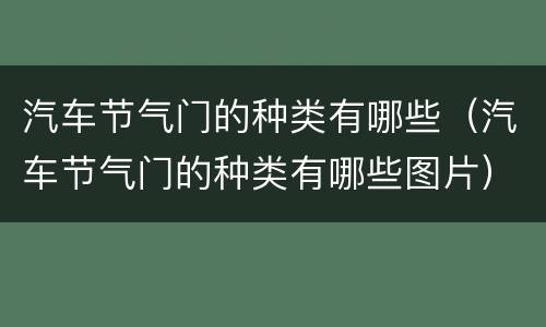 汽车节气门的种类有哪些（汽车节气门的种类有哪些图片）