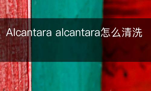 Alcantara alcantara怎么清洗