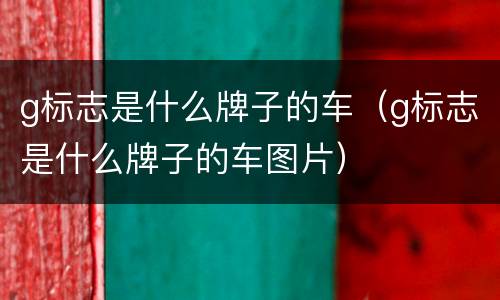 g标志是什么牌子的车（g标志是什么牌子的车图片）