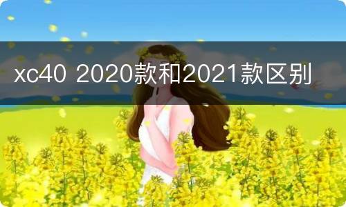 xc40 2020款和2021款区别