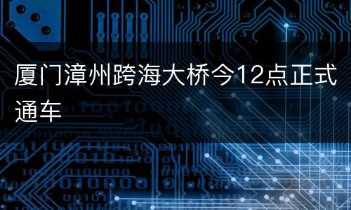 厦门漳州跨海大桥今12点正式通车
