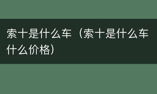 索十是什么车（索十是什么车什么价格）