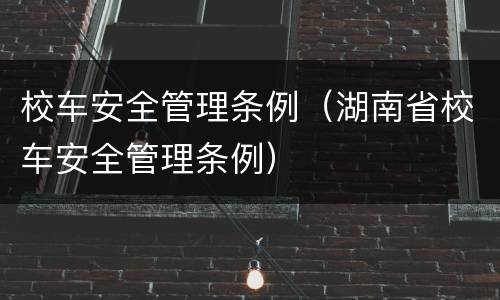 校车安全管理条例（湖南省校车安全管理条例）