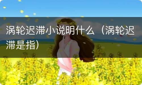 涡轮迟滞小说明什么（涡轮迟滞是指）