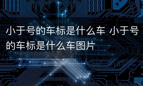 小于号的车标是什么车 小于号的车标是什么车图片