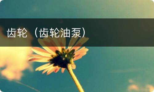 齿轮（齿轮油泵）